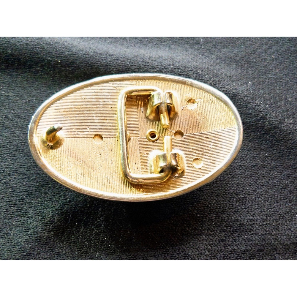 Vtg‎ Western Gold Toned Belt Buckle Polished Agate Rodeo Southwestern Country - Picture 4 of 7